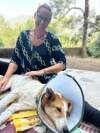 image_Garde et soins animaliers - Pet sitting - Promenade