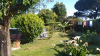 image_cherche gardien de maison et chats - vianne