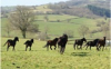 image_Gardien de propriété - Bourgogne