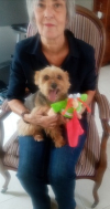 image_Pet sitter - Charente maritime, ...