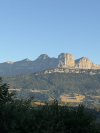 image_Garde de maison et de grands chiens