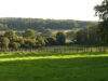 image_GARDIEN JARDINIER