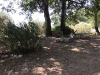 image_gardien polyvalent avec expérience - Occitanie