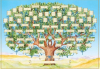 image_Établissement d'un arbre généalogique