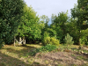 image_Entretien bois - Le Bousquet d'Orb