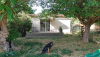 image_Garde chien et chat à domicile Bouches du rhônes