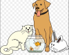 image_Garde d'animaux, chiens, chats, petits rongeurs