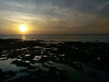 image_Garde animaux - noirmoutier en ile