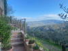 image_Qui veut s'occuper de mes 16 minets en Italie dans une petite maison dans les collines d'Ombrie?