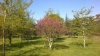 image_Couple espagnol de retraités cherche propriété privée à garder